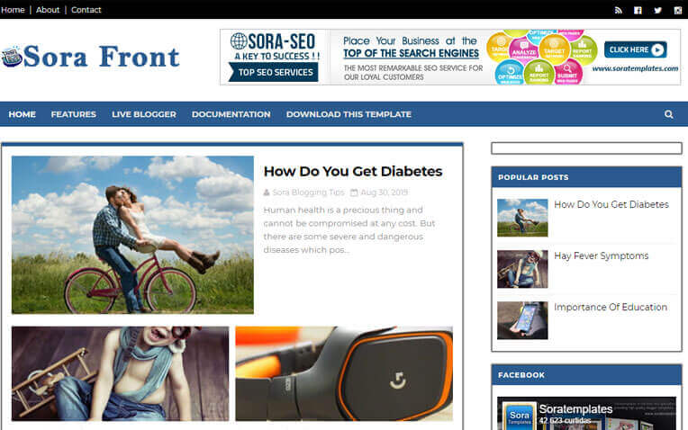 sora front free blogger template