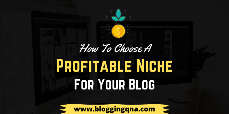 choose a profitable niche